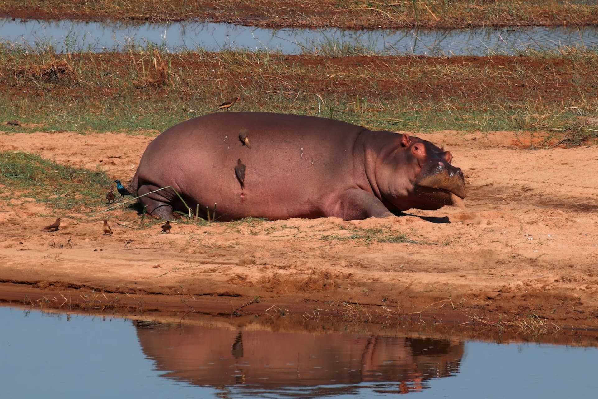 Featured image for Customers can tell your content is AI generated and it's hurting your brand